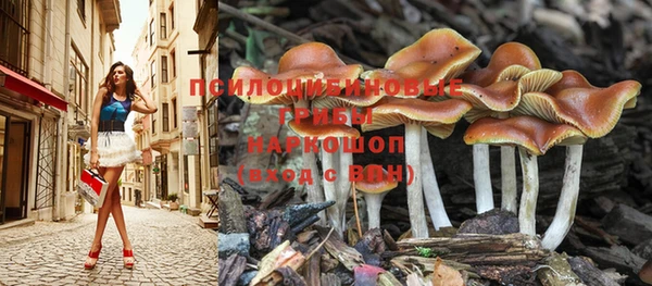 таблы Абинск