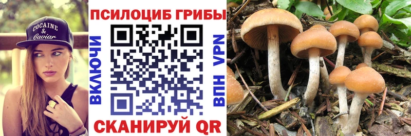 Галлюциногенные грибы Cubensis Власиха