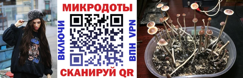mega как войти  купить наркоту  Власиха  Галлюциногенные грибы ЛСД 